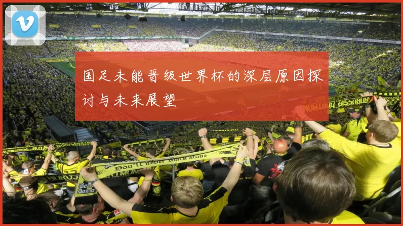 国足未能晋级世界杯的深层原因探讨与未来展望